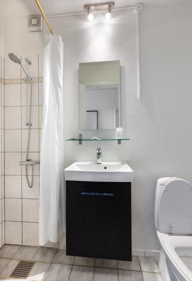 Dolphin Herning